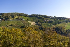 Lage Sausaler Schlössl