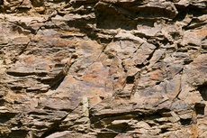 Terroir Lage Sausaler Schlössl