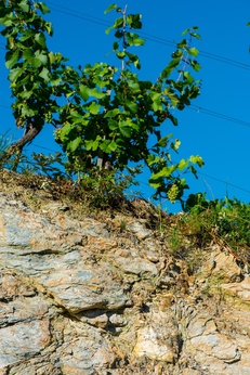 Terroir Lage Steinriegel