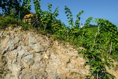 Terroir Lage Steinriegel