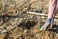 Setzen auf der Lage Gola 2014