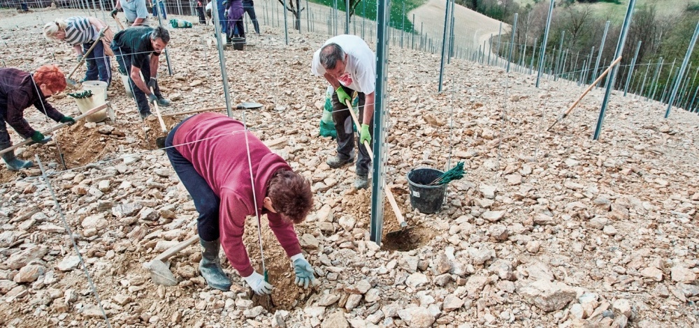 Wohlmuth Philosophie