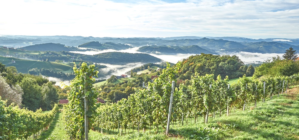 Blick vom Demmerkogl