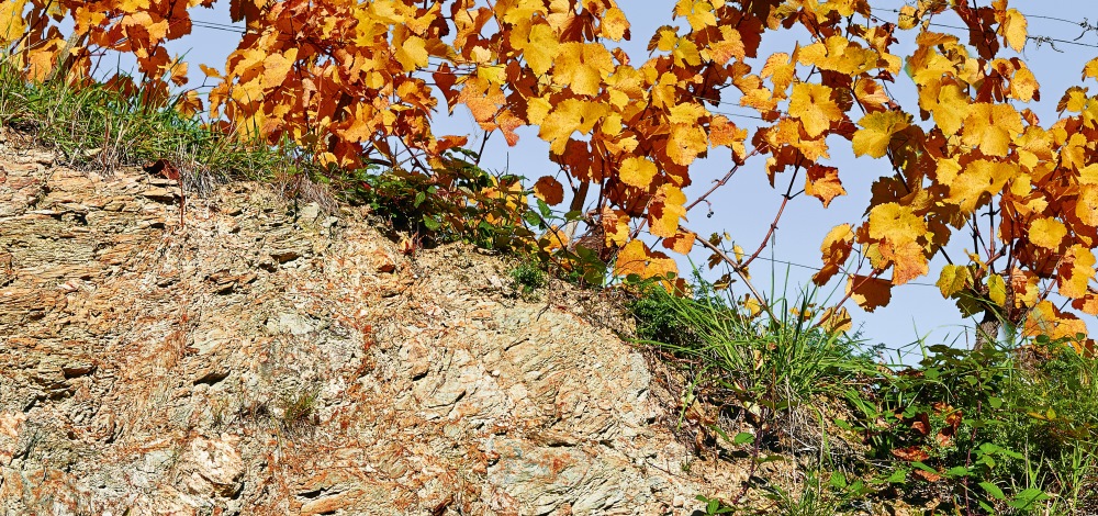 Relief Hochsteinriegl